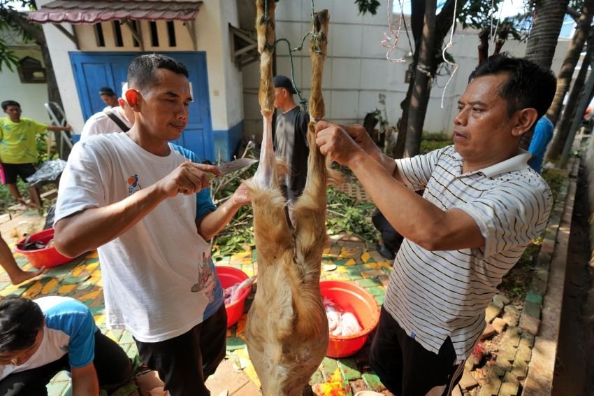 PGN Group Rayakan Idul Adha dengan Membagikan 955 Hewan Kurban untuk Masyarakat