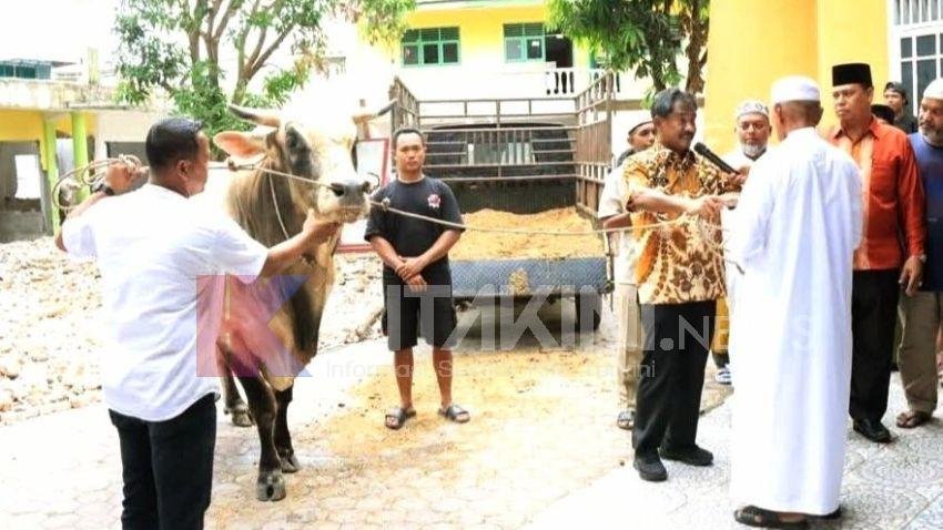 Wali Kota Binjai Serahkan Bantuan Sapi Kurban dari Presiden RI