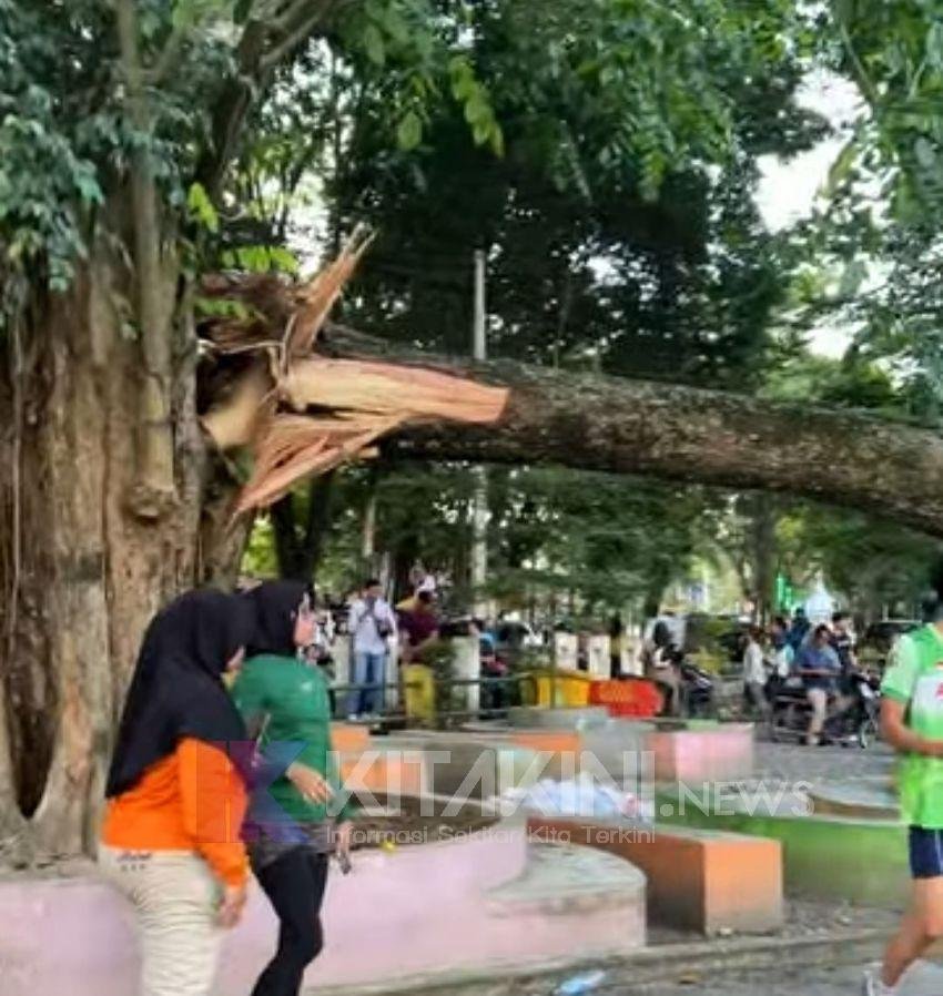 Siswi SMA Korban Pohon Tumbang di Langkat Akhirnya Meninggal Dunia
