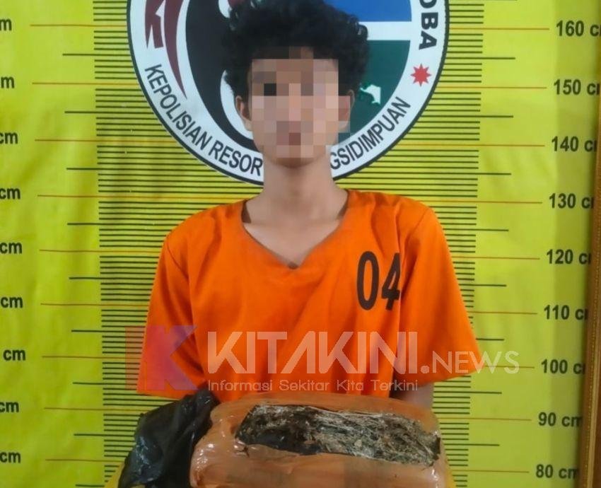 Warga Sipangko Akui Dapat 1 Kg Ganja dari Muaratais