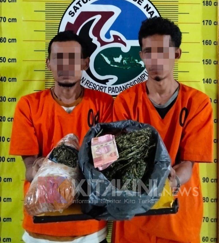 "Gotong" 1 Kg Ganja Dari Madina, Dua Warga Panyabungan "Nginap" di Sel Polres Sidimpuan