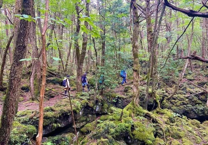 Wisata Hantu Marak di Jepang, Tempat Horor jadi Favorit