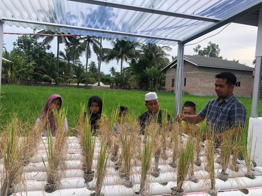 Kuta View, Surga Edukasi di Tengah Hijaunya Sawah Kuala Tanjung