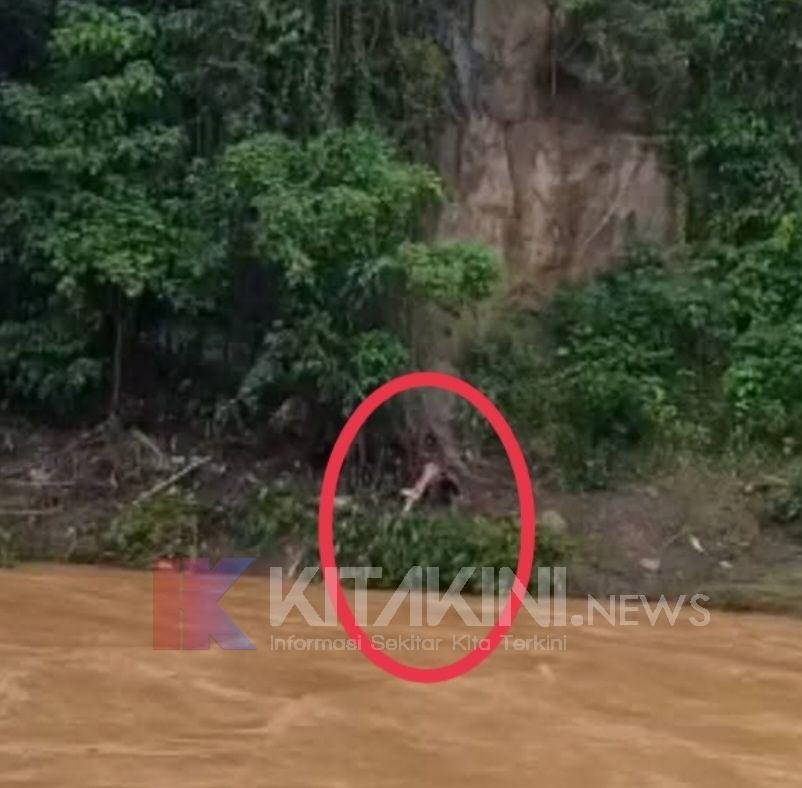 Polres Sidimpuan Evakuasi Mayat Wanita Tersangkut di Dinding Tebing Sungai