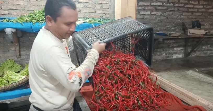 Harga Cabai Merah di Batubara Masih Rp50 Ribu per Kilogram