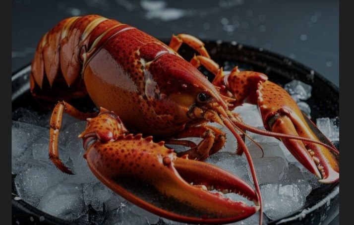 Lobster Seharga Rp6 Milar Hilang. FBI heboh Cari Pencuri