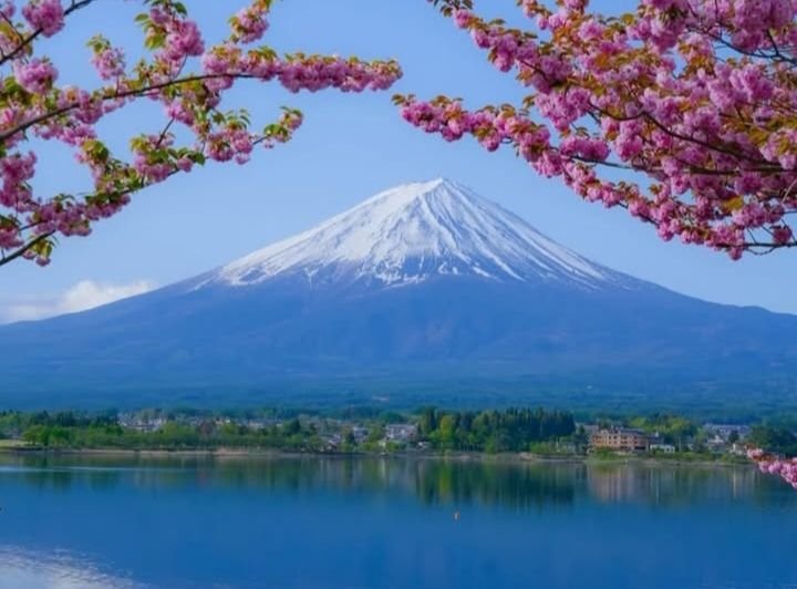 Keunikan Turis Indonesia saat ke Jepang, Lebih Suka Salju daripada Sakura