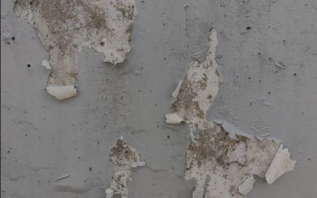 Dinding Lembab dan Mengelupas, Jangan Biarkan Berlarut: Bahaya!