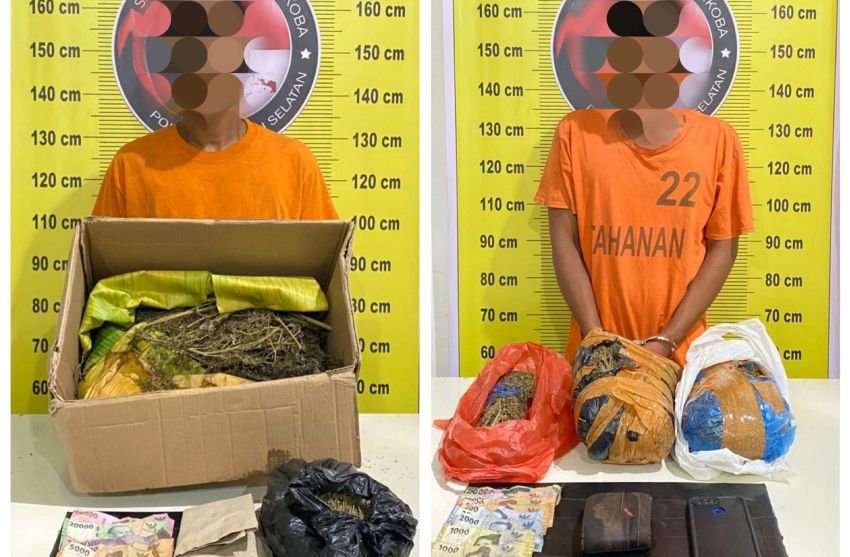 Pengedar Ganja Ini Mencoba Lari saat Berkendara di Kebun Salak Tapsel