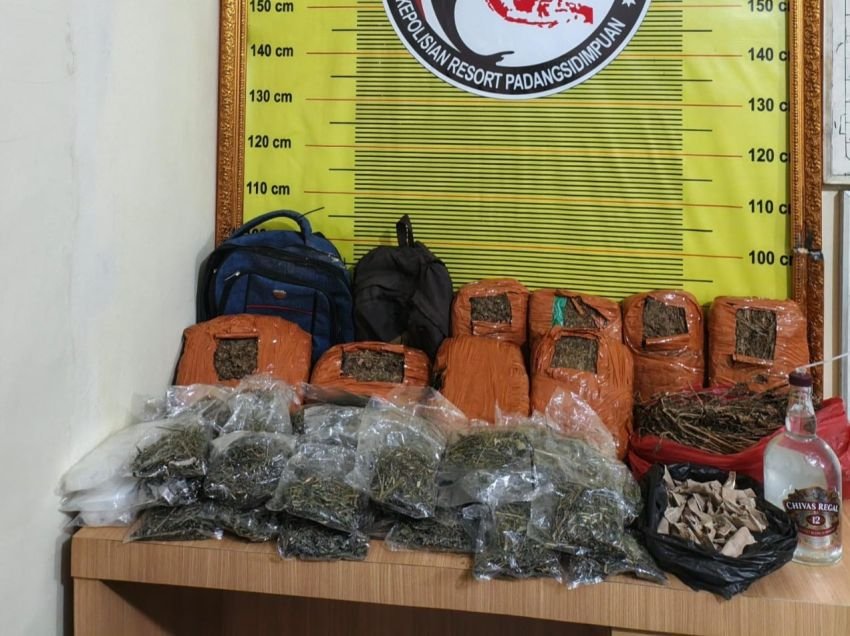 Dobrak Rumah, Polisi Temukan 8 Bal Ganja Siap Edar di Padangsidimpuan