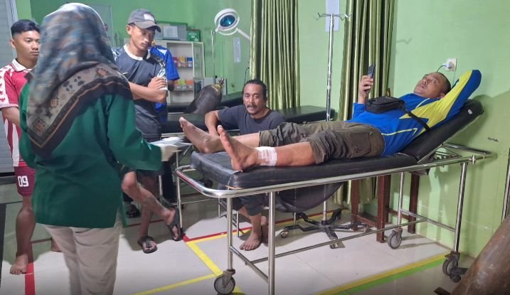 Beruang Madu Masuk Kampung, 3 Orang Terluka Kena Serang