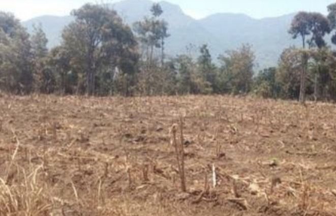 Waspada &ldquo;Godzilla El Nino&rdquo;, Indonesia Terancam Kemarau Panjang