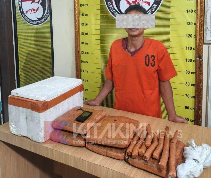Miliki 4 Kg Lebih Ganja, Warga Kelurahan Tano Bato Diringkus Polisi