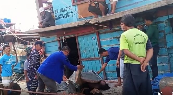 Kapal Pukat Teri Meledak di Belawan, Tiga Tewas dan Lima Nelayan Hilang