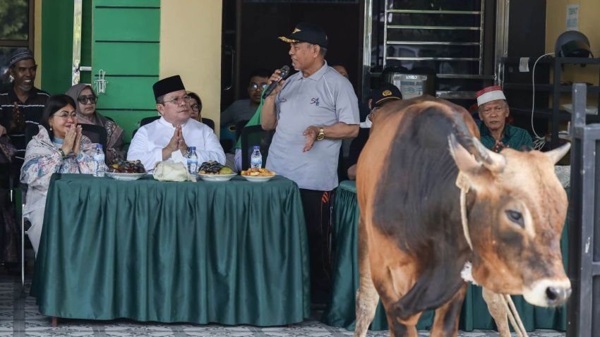 MUI Pematangsiantar Terima Bantuan Hewan Kurban dari Wali Kota