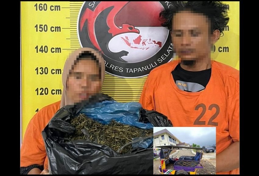 Agar Tak Mencolok, Dua Pelaku Pengedar Narkoba Kirim Paket Ganja ke Tapsel Pakai Becak