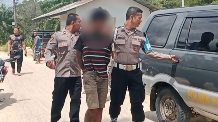 Modus Hendak Mencuri, Pria di Tapteng Berbuat Cabul