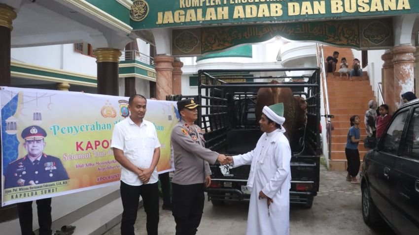 Kapolda Sumut Sumbang Sapi Seberat 600 Kg ke Persulukan Babussalam