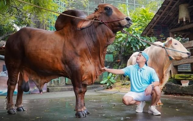 Laris Jelang Idul Adha, Rumah Irfan Hakim Jadi Tempat Penitipan