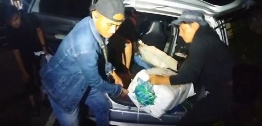BNNP Sumbar Gagalkan Penyelundupan 150 Kilogram Ganja, 4 Pelaku Diringkus