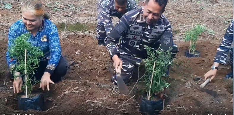 TNI AL Garap Ratusan Hektare Lahan Ketahanan Pangan