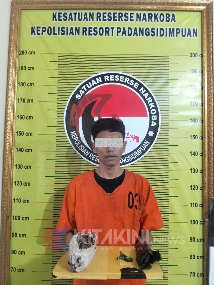 Transaksi Ganja Gagal, Pria 23 Tahun Diamankan Polres Sidimpuan