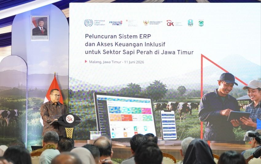 OJK dan ILO Luncurkan Sistem ERP, Mudahkan Peternak Sapi Perah Jatim Akses Pembiayaan