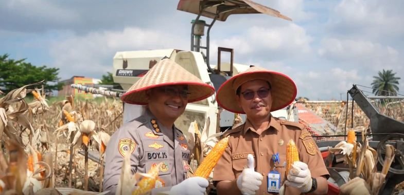 Polda Riau dan Kelompok Tani Panen Jagung di Pekanbaru