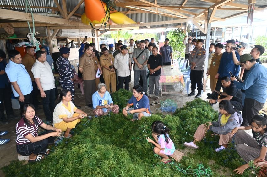 Ekonomi Masyarakat Nias Utara Terdongkrak dari Rumput Laut, Wagubsu Dorong Hilirisasi