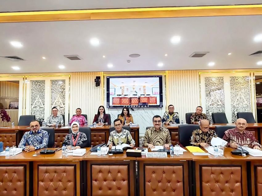 Bahas RUU HPI di DPR, PERADI Profesional Usulkan Penguatan Kepastian Hukum Internasional