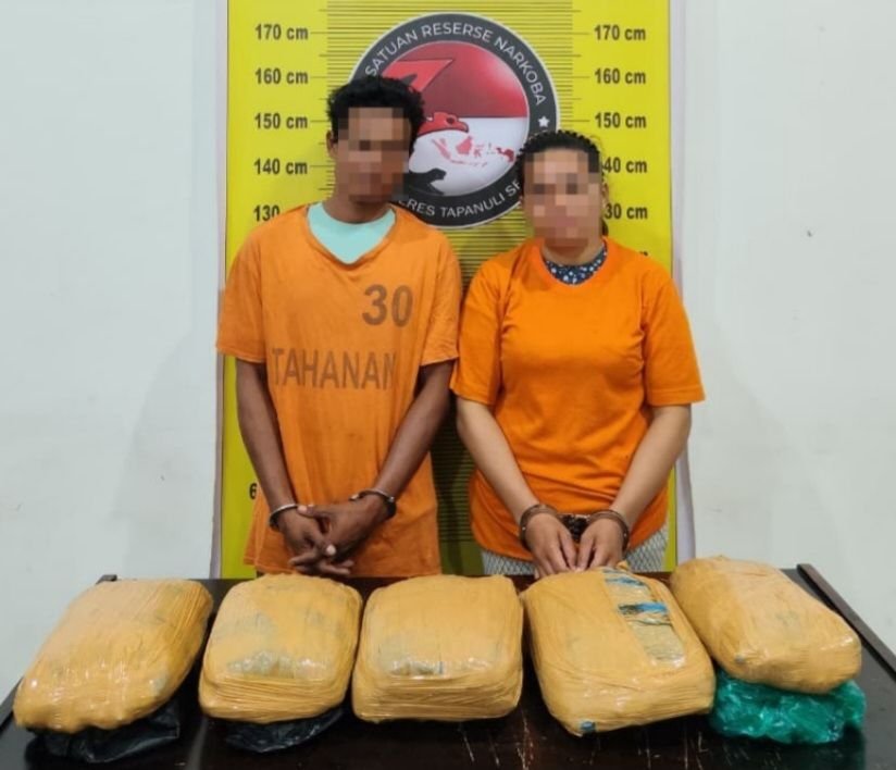 5 Kg Ganja Gagal Edar di Tapsel, Polisi Amankan Dua Pelaku