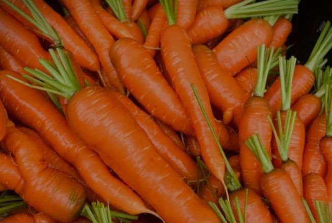 Wortel Itu Sehat, tapi Jadi Sayuran Paling Tercemar Mikroplastik