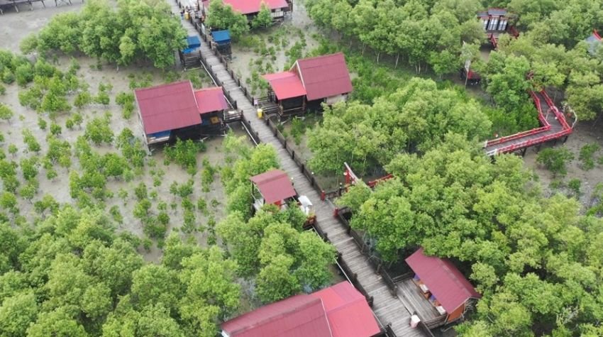 Menulis demi Bumi, Ketika Karya Jurnalis Sumatera Utara Menyuarakan Aksi Konservasi Lingkungan