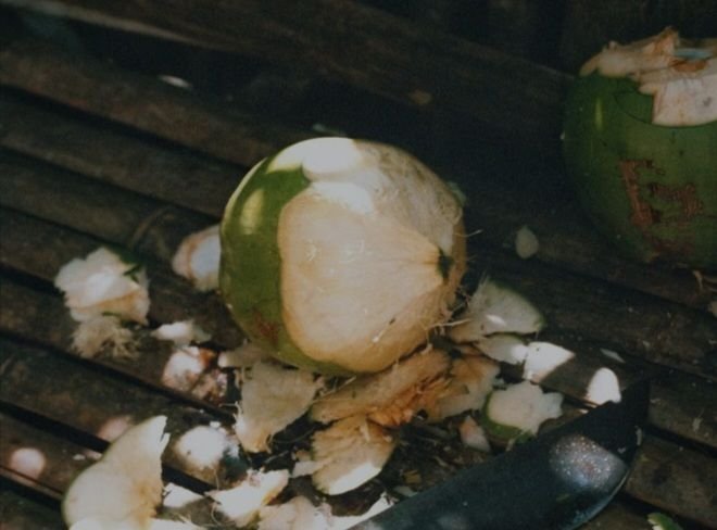 Minum Air Kelapa Muda Bisa Jaga Berat Badan dan Redakan Mabuk Alkohol; Ini khasiat Lainnya
