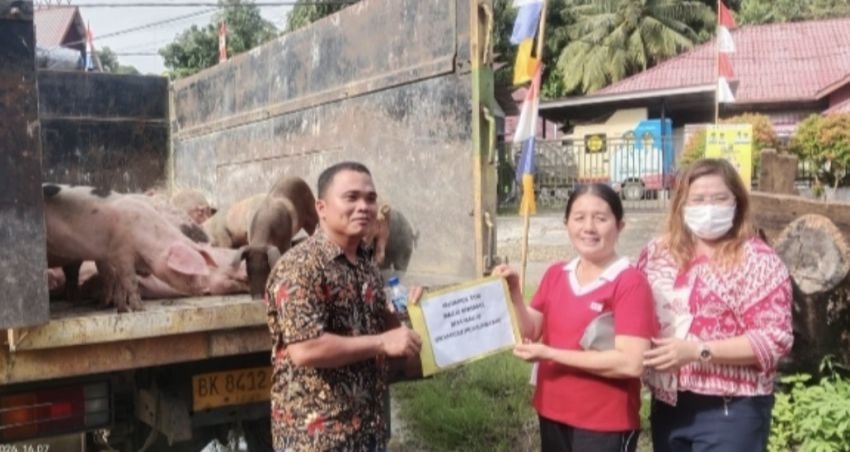 Pemkab Nias Selatan Salurkan 121 Bibit Ternak kepada Enam Kelompok
