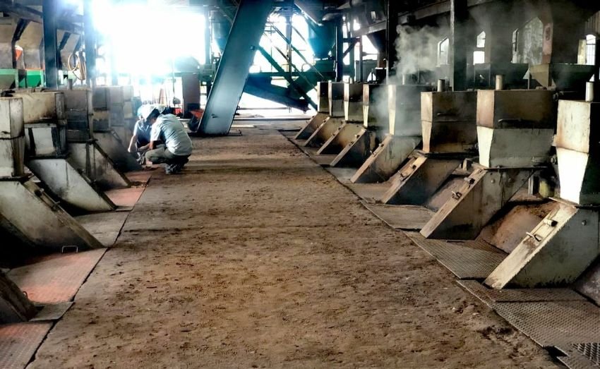 Menyemai Limbah Kelapa Sawit Jadi Energi