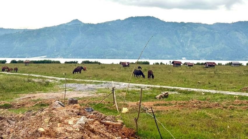 Aceh Tengah Pulihkan 1.496 Hektare Sawah, Target Siap Tanam Awal September