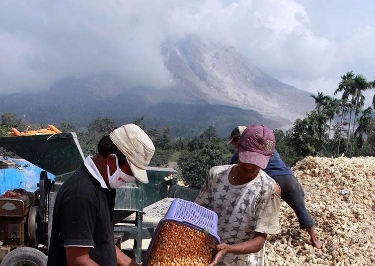 Dinas TPH Sumut Petakan Dampak Erupsi Gunung Sinabung terhadap Sektor Pertanian di Karo