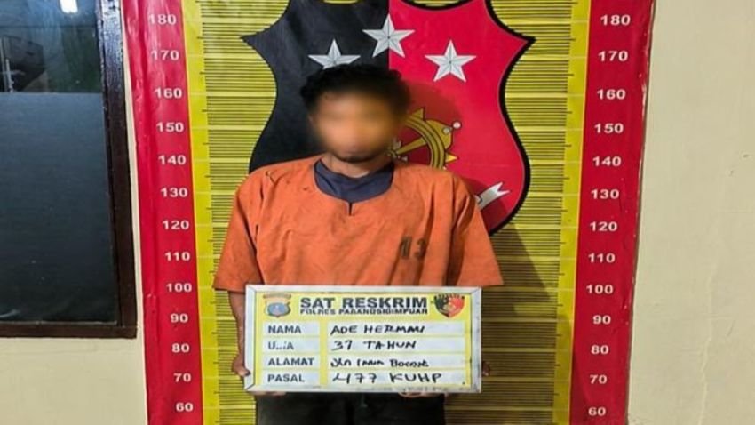 Polres Padangsidimpuan Tangkap Pelaku Pembobol Toko, Gasak Uang dan Barang