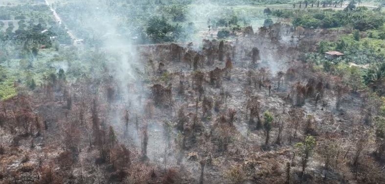 Kualitas Udara Memburuk, Pemko Pekanbaru Berlakukan Belajar Daring