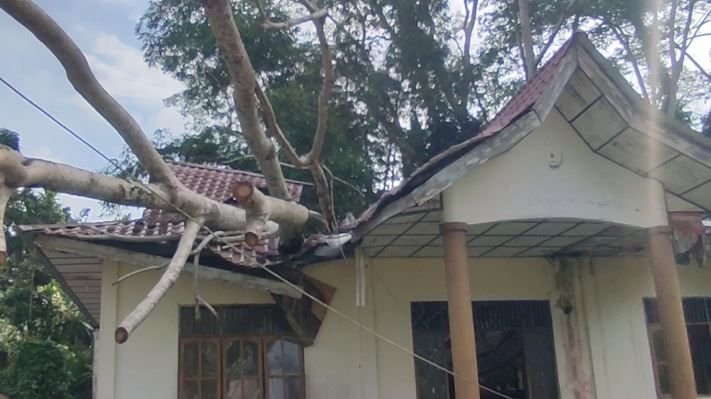Potret Aset Pemkab Nias Selatan, Sejumlah Gedung Perkantoran Rusak dan Terbengkalai