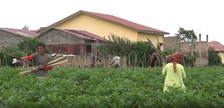 Gunung Sinabung 1 Kali Gempa Tektonik Warga Diimbau Jauhi Zona Merah