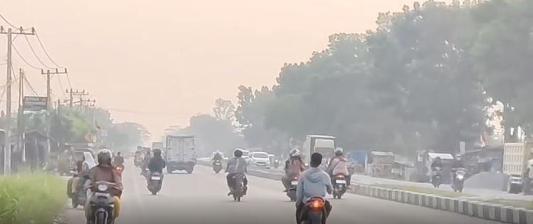 Kabut Asap Selimuti Pekanbaru, BMKG Deteksi Ratusan Titik Panas