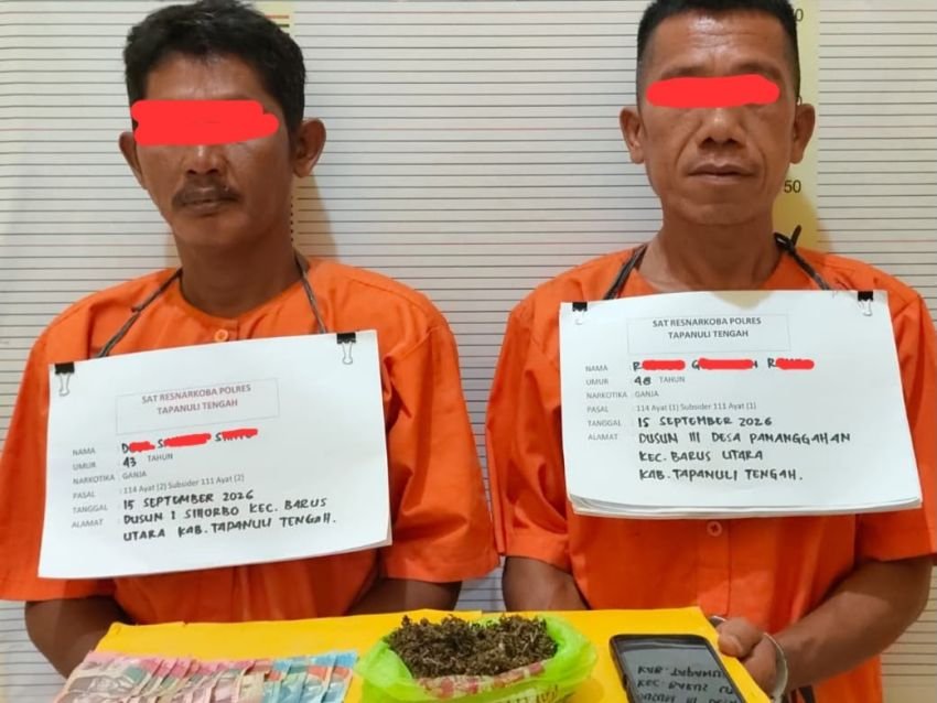 Polres Tapteng Tangkap Dua Pengedar Ganja di Barus Utara, Satu Pelakunya Residivis
