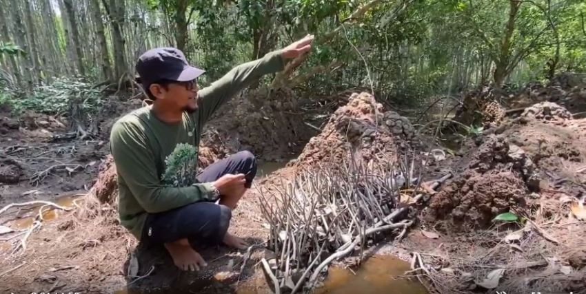 Taubatnya Seorang Pembalak Mangrove, Kini Menjadi Penjaga di Langkat Selat Malaka