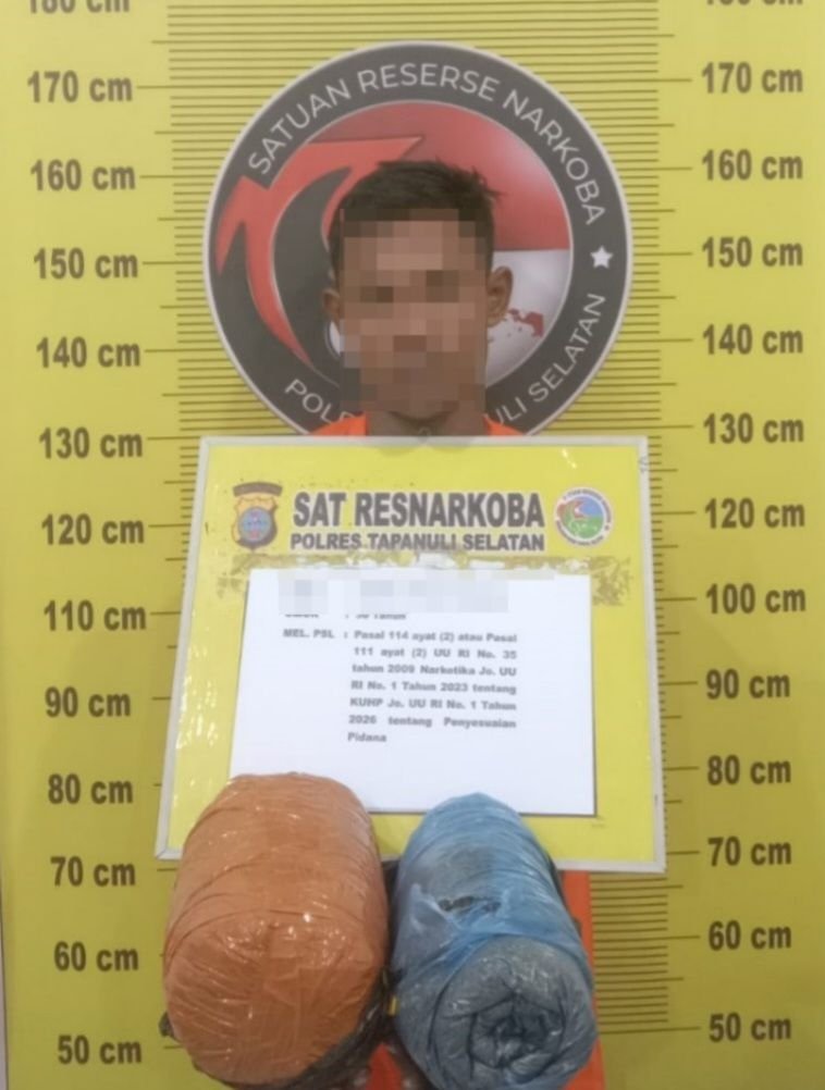 Polres Tapsel Gagalkan Peredaran Ganja 2 Kg
