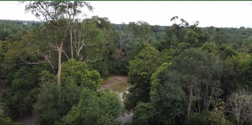Hutan Imbo Putui Riau, Benteng Alam Terakhir di Jantung Sumatera