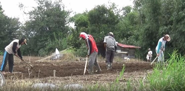 Zona Bahaya Dikurangi, Warga Desa Kuta Tengah Mulai Beraktifitas