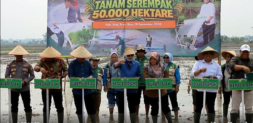 Kementan Percepat Tanam 50.000 Hektare untuk Tingkatkan Indeks Pertanaman dan Perkuat Ketahanan Pangan