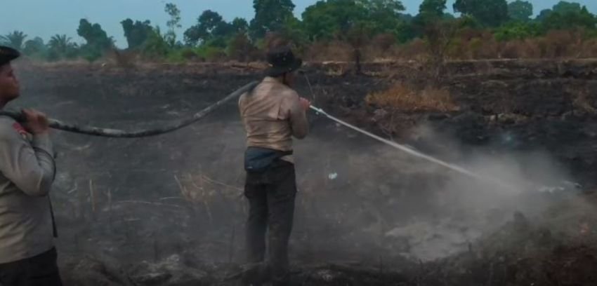 Polda Riau Padamkan Kebakaran Lahan di Pelalawan